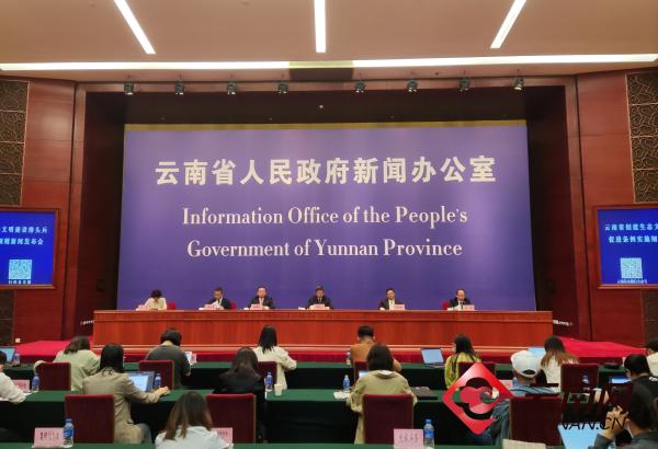 云南煤化集团最新动态，心灵与自然的完美邂逅之旅