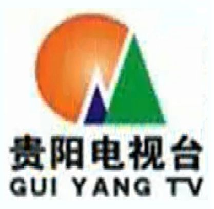 全国电视台卫视频道，小巷深处的独特风味探秘