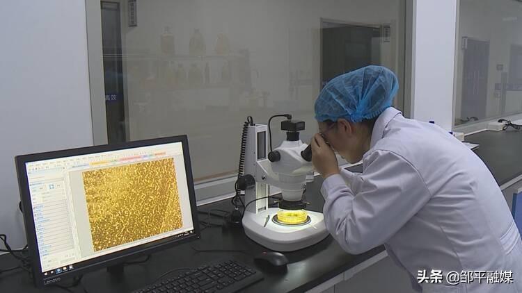 最新动态及消息更新