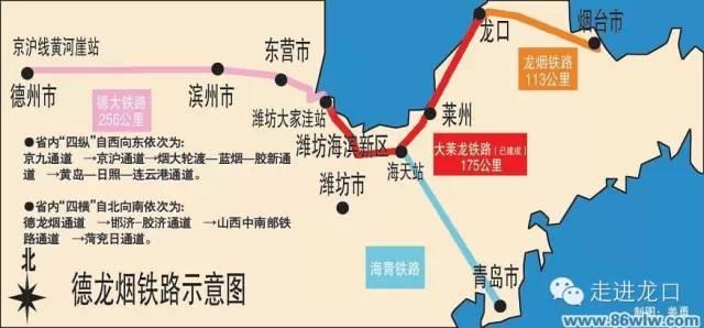 最新动态揭秘