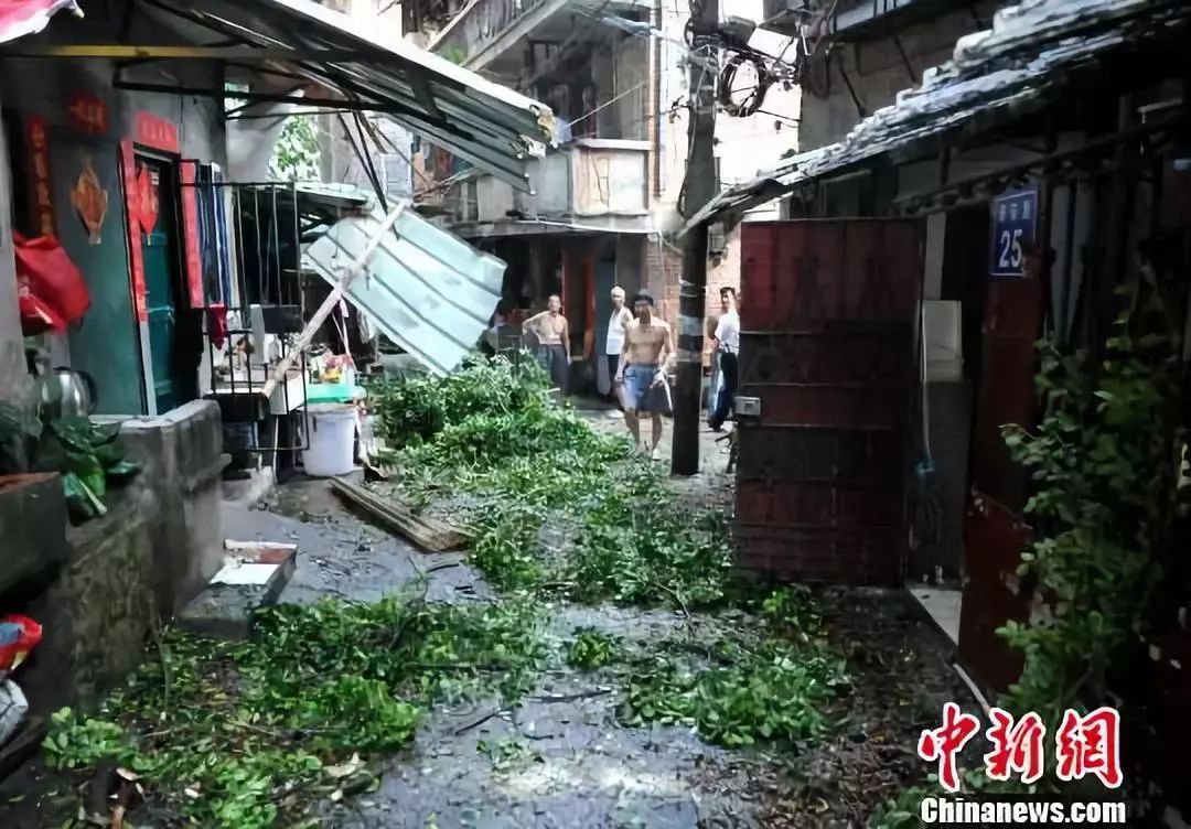 5号台风最新动态与小巷中的意外发现——特色小店的惊喜探索