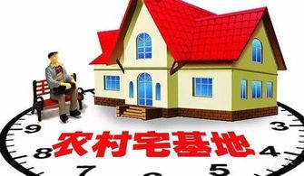 农村宅基地管理办法最新，宅地基新篇章与爱与陪伴的温馨故事