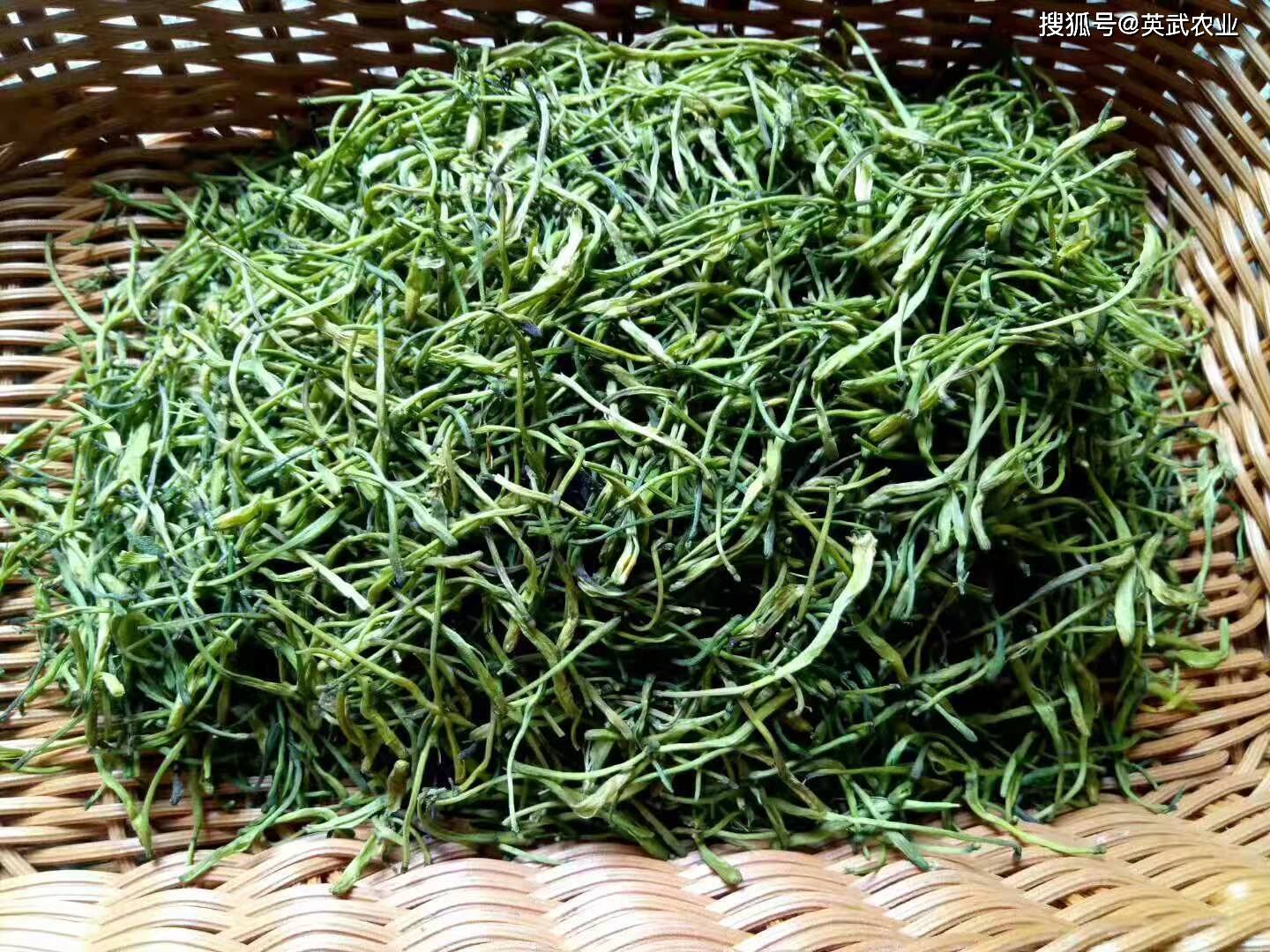 金银花最新价格走势及分析，市场动向与影响因素探讨