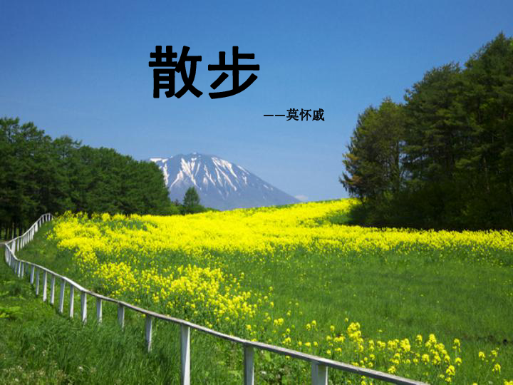 最新开锁神器助您解锁自然美景，开启内心平和之旅