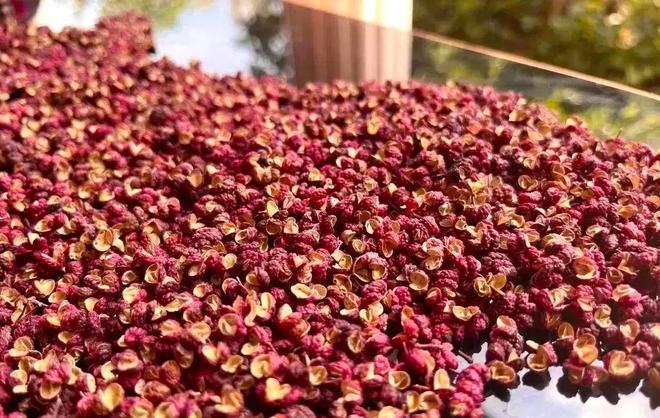 陕西花椒最新价格走势分析，品种差异与市场影响因素探讨