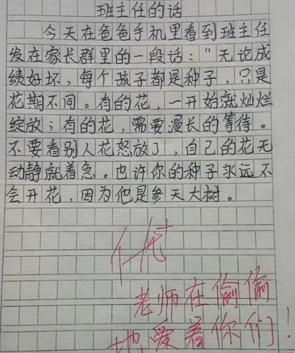 沪洲学生死亡事件最新进展，科技时代下的重塑与非凡体验