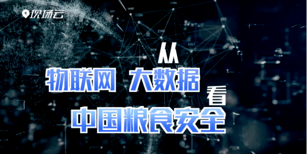 热门直播官网最新版本的深度分析与观点阐述