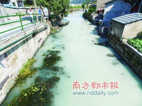 绍兴市皋埠镇，科技浪潮引领智能生活新体验最新报道