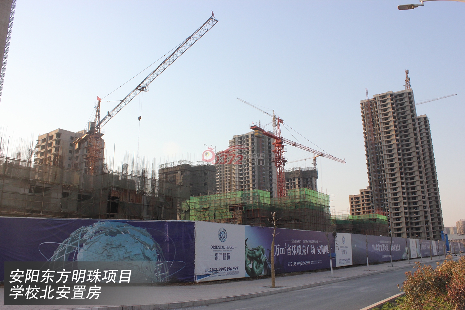 安阳东方明珠最新动态，温馨家庭聚会盛典
