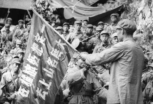 志愿兵最新动态报道，最新消息汇总