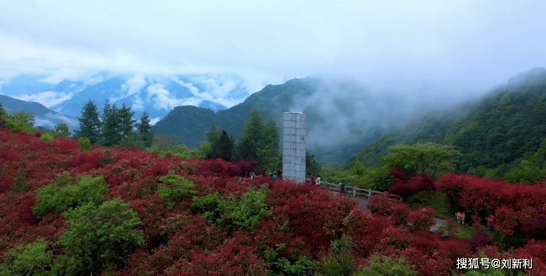 达州魏蒲新城最新进展，自然美景探索之旅，内心平静之旅启动