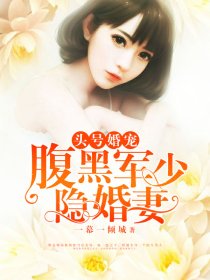 裴少的隐婚妻，最新章节与观点论述全解析