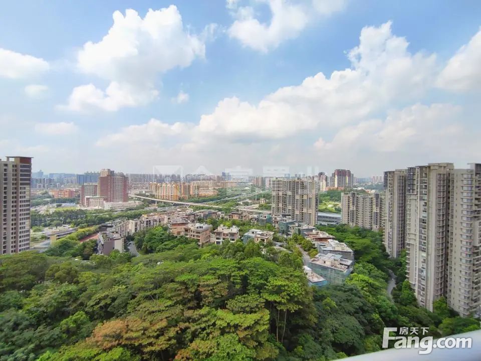 广州御金沙最新二手房购买指南，从初学者到进阶用户的全方位指南